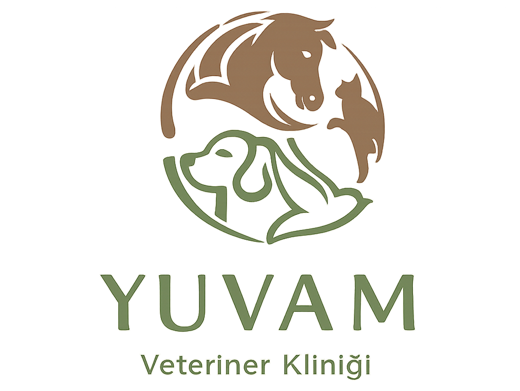 logotype